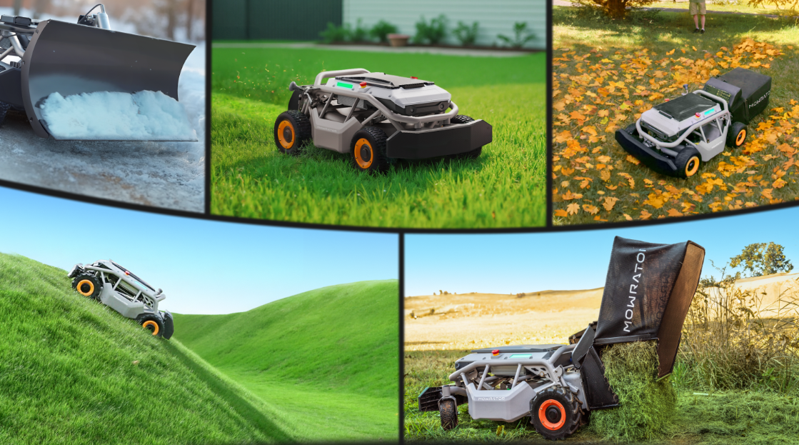 All-Season Lawn Care